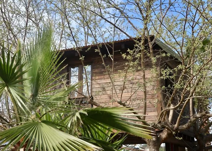 Naturetreehouse Casa Sobre Los Arboles